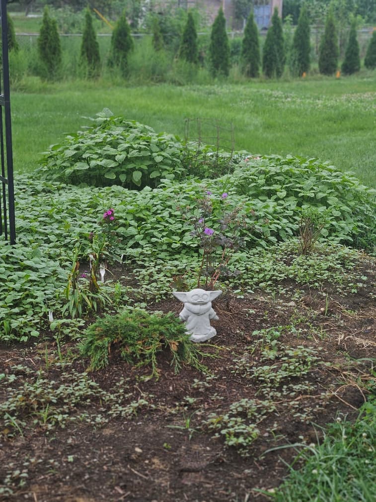Declare a war with Weeds