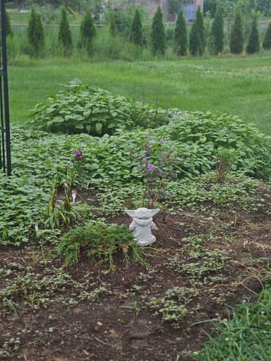 Declare a war with Weeds